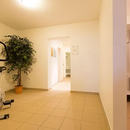 Ahlbeck Herzmuschel * Heringsdorf (Usedom)